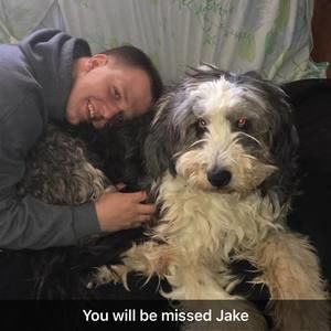 Meet your Posher, Wyatt